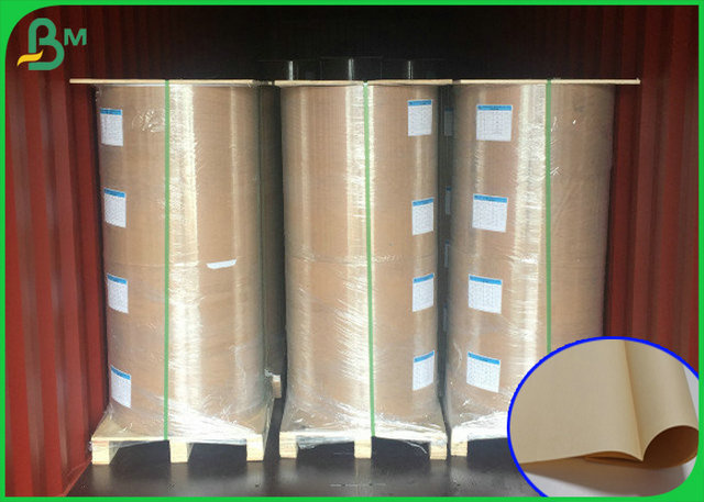 carta kraft di bambù degradabile della polpa di 80gsm 100gsm per stampa della busta