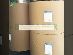 Carta Bibbia Bianca Naturale Biodegradabile ed Ecologica