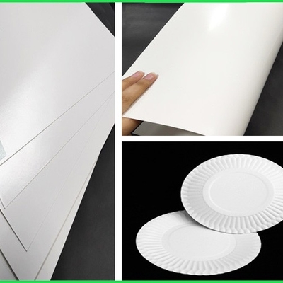 FDA &amp; lo SGS 300g hanno approvato il bordo bianco della carta patinata FBB del PE per i piatti di carta