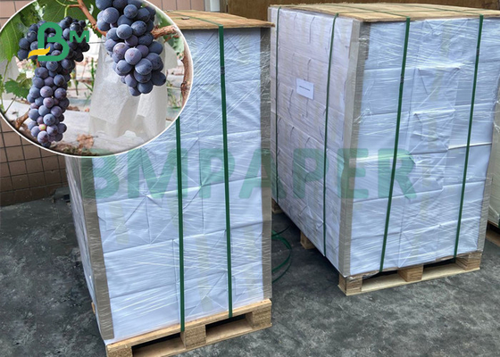 carta impermeabile della pietra di 120gsm 144gsm per le borse 300 x 350mm di protezione dell'uva