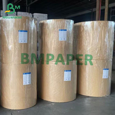 Biodegradabile Kraft Cup Paper Roll Brown Bowl Paper 210g 230g 250g 280g 300g 350g