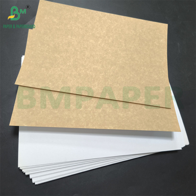 Cartuccio CCKB di qualità alimentare 270 gm cartone kraftback rivestito su un lato