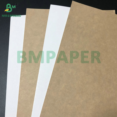 C1S Artiglio rivestito 295gm 325gm bianco Top Kraft Back Cartone per scatole alimentari