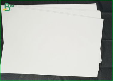 Carta di rotolo del jumbo del materiale riciclabile per i cartoni 200g 787mm &amp; 889mm