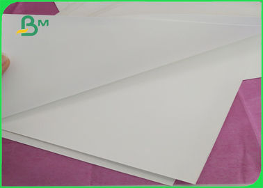 Muffa di carta resistente dello strappo impermeabile di pietra bianco amichevole di Eco - rinforzi il materiale 144g 216g