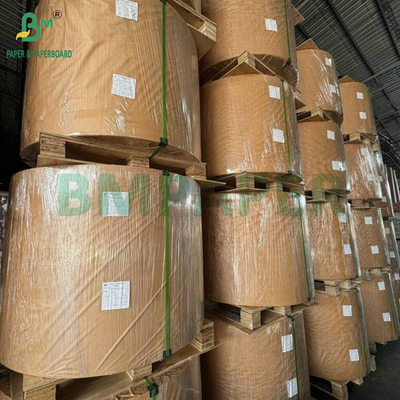 60g Blister Medical Paper per siringa usa e getta 794mm 510mm Roll