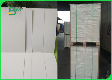 300GSM ha candeggiato la carta patinata del rotolo/C1S della carta del cartone per l'imballaggio di qualità superiore