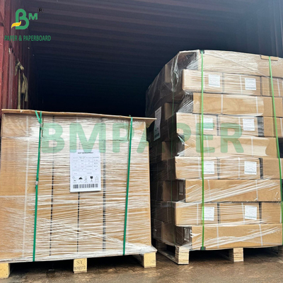 20# Rollo di carta bianca semplice per stampanti a getto d'inchiostro a grande formato 24 pollici x 150 piedi