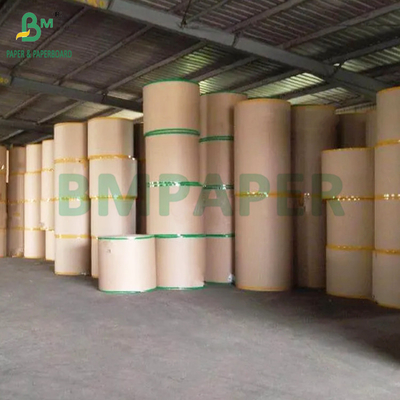Grao alimentare Kraft 320gm + 20g PE carta rivestita per tazze da caffè alta sfera 900mm