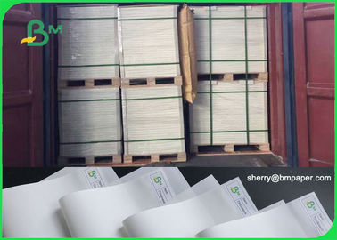 100 - carta da imballaggio di pietra biodegradabile amichevole di 200um Eco per il taccuino in Rolls