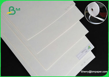 strato di carta assorbente naturale della fibra del commestibile del rotolo/su di assorbimento della carta del cartone di 230gsm 280gsm