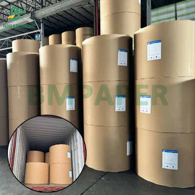 260 g 280 g Carta PET bianca di buona qualità per vassoio del forno Resistente al calore 200 + gradi