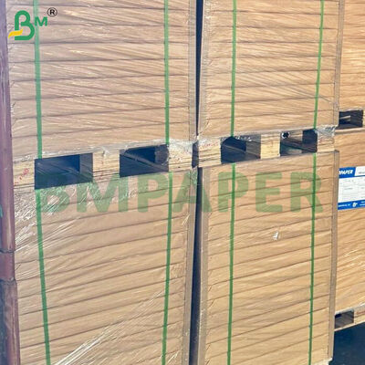 Rotoli di carta da forno alimentare resistente all'olio da 50 g/m² - Larghezza rotolo 787 mm