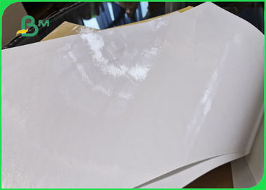 Eco amichevole rotolo della carta ricoperto PE del commestibile 40gsm + 10g per il pacchetto del pepe