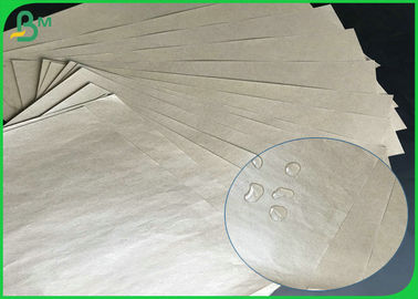 Commestibile impermeabile al grasso Paper610mm 860mm 200gsm - rotolo della carta patinata del PE 350gsm + 10g