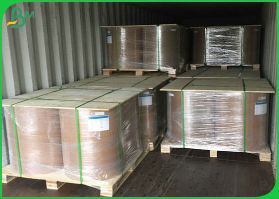 bobina lucida bianca della carta patinata dello SGS di 300GSM FSC con il materiale naturale della polpa di 100%