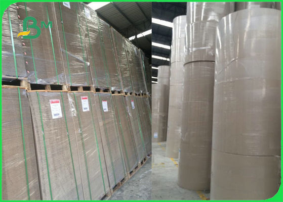 Fogli differenti della rilegatura di libro del cartone di colore del FSC per l'archivio dell'arco della leva