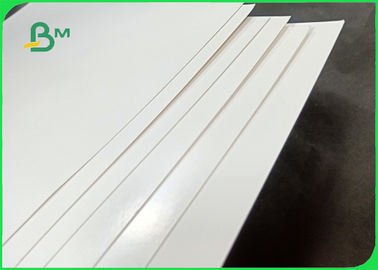 capacità portante della carta patinata del PE di 250gsm 300gsm buona per i piatti di carta