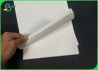 Calore - rotolo dell'ANIMALE DOMESTICO &amp; strato di carta sintetici di resistenza 200um per la stampante di nastro del carbonio