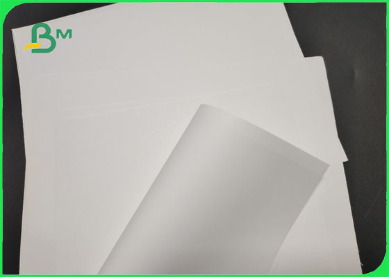 Rotolo di carta opaco bianco C2S di 787mm 889mm per buona stampa del materiale illustrativo