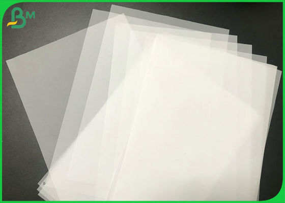 Tracciatore bianco naturale della carta da ricalco 50gram 63gram che stampa Rolls 620mm * 80M