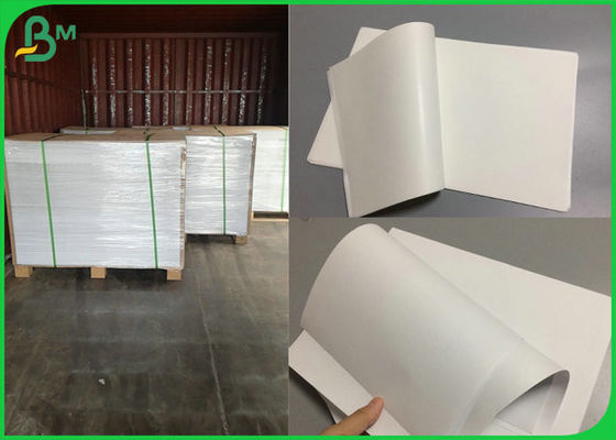 Rotolo bianco biodegradabile e durevole di 100% di Kraft del commestibile della carta per l'imballaggio di Surger