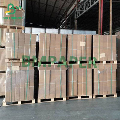 CAD Plotter Rolls Un lato di stampa carta blu A1 dimensione 24 &quot;x 50m 2' core