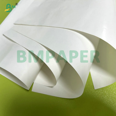 67 grammi carta cromata monofaccia resistente al congelamento per etichette di birra 70 x 100 cm