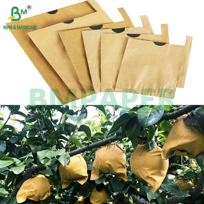 59 grammi Crema solare resistente alle lacrime Frutta Manica carta Marrone Sopra Nero Sosta