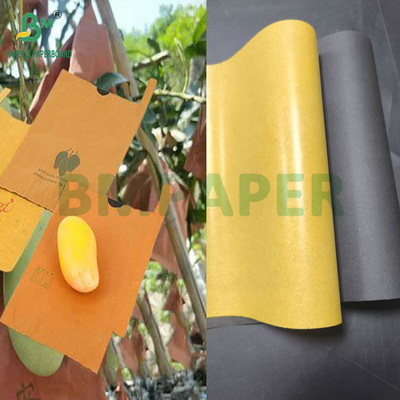 54g 56g Carta di copertura a singolo o doppio strato per la protezione della coltivazione di frutti di mango