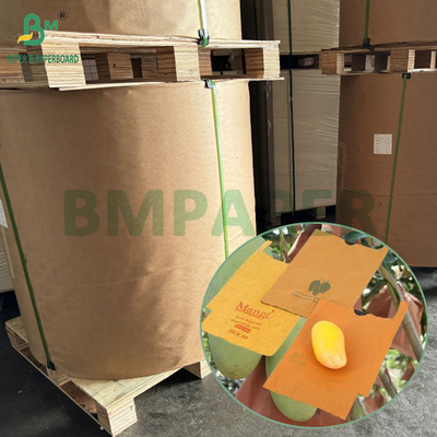 54g 56g Carta di copertura a singolo o doppio strato per la protezione della coltivazione di frutti di mango