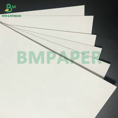 Cartuccio ad alta polpa ad assorbimento idrico 1 mm 1,4 mm carta bianca da tappeto da birra per sottopiattaforma