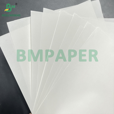 Grado alimentare liscio 70 - 150 GSM Rollo di carta kraft bianca sbiancata 15 pollici x 1000 piedi
