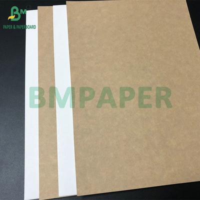C1S Artiglio rivestito 295gm 325gm bianco Top Kraft Back Cartone per scatole alimentari