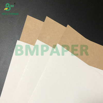 C1S Artiglio rivestito 295gm 325gm bianco Top Kraft Back Cartone per scatole alimentari