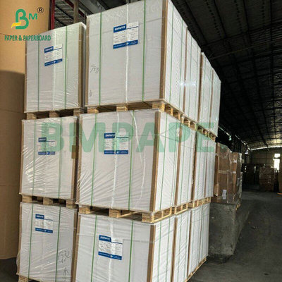 Alto bianco 98% 325 gr 360 gr Carta Fbb per pasticceria Cartone 70 x 100 cm