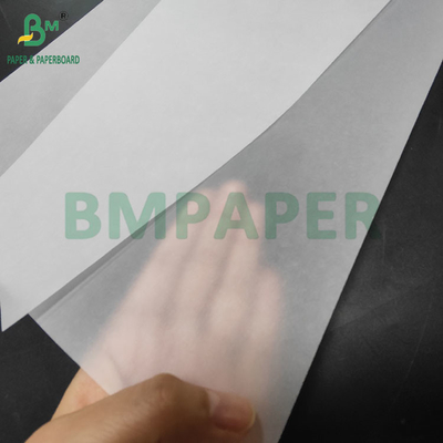 100 gm 120 gm Carta di vellum bianca e colorata traslucida per la stesura
