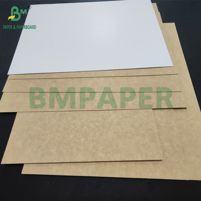 250 gm 350 gm Carta riciclata rivestita CRB per scatole da pane Rigidità