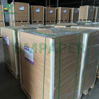 300 gm 350 gm SBS Solfato di candeggina solido per la fabbricazione di cartone pieghevole