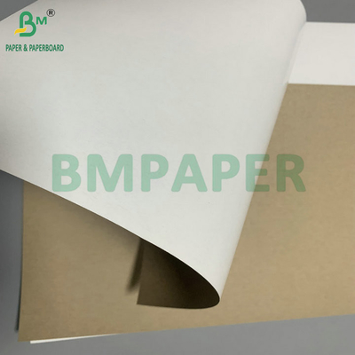 300 gm 350 gm SBS Solfato di candeggina solido per la fabbricazione di cartone pieghevole