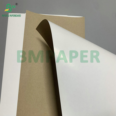 300 gm 350 gm SBS Solfato di candeggina solido per la fabbricazione di cartone pieghevole