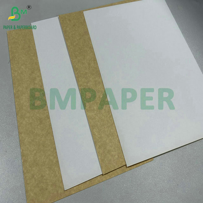 250 gr 275 gr Tavola portante di sicurezza alimentare rivestita su un lato per la fabbricazione di scatole da pranzo 61 x 86 cm