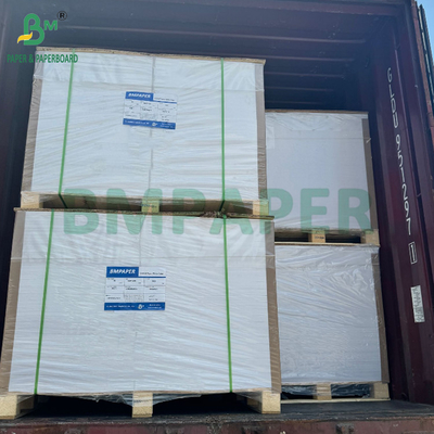 Carta sintetica PET impermeabile da 100 mm a 130 mm per banner pubblicitario 70 x 100 cm