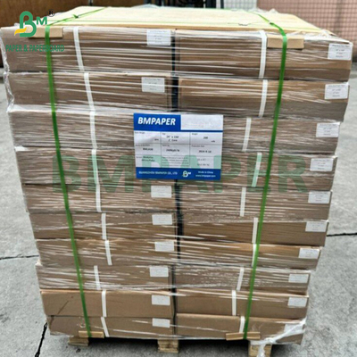 40 gm Rulli di carta rivestita di silicone a doppio lato per la cottura di alimenti Carta di avvolgimento bianca