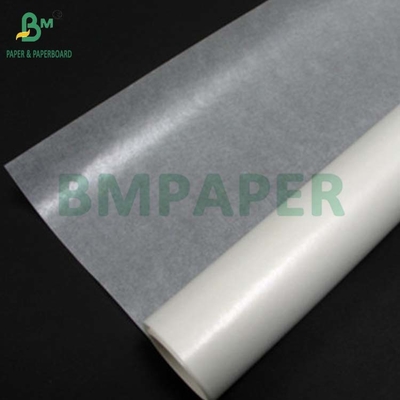 24 grammi di carta colorata di vetro sbiancata di qualità alimentare per tazze da forno 750 x 1000 mm