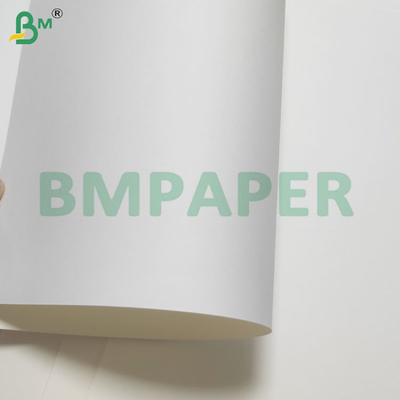 135-350 GSM Carta impermeabile rivestita in PE a doppia dimensione per tazze e piatti
