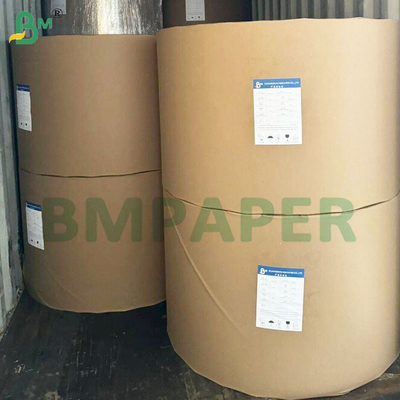 135-350 GSM Carta impermeabile rivestita in PE a doppia dimensione per tazze e piatti