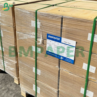 53-285 GSM Carta di tracciamento semitransparente per la copia e il disegno