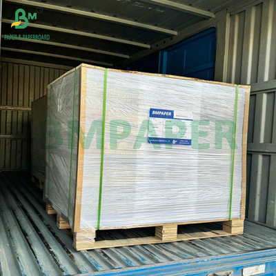 31 pollici 35 pollici 230 grammi 260 grammi PE rivestito Coppa Paper Roll per tazze da caffè