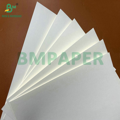 31 pollici 35 pollici 230 grammi 260 grammi PE rivestito Coppa Paper Roll per tazze da caffè